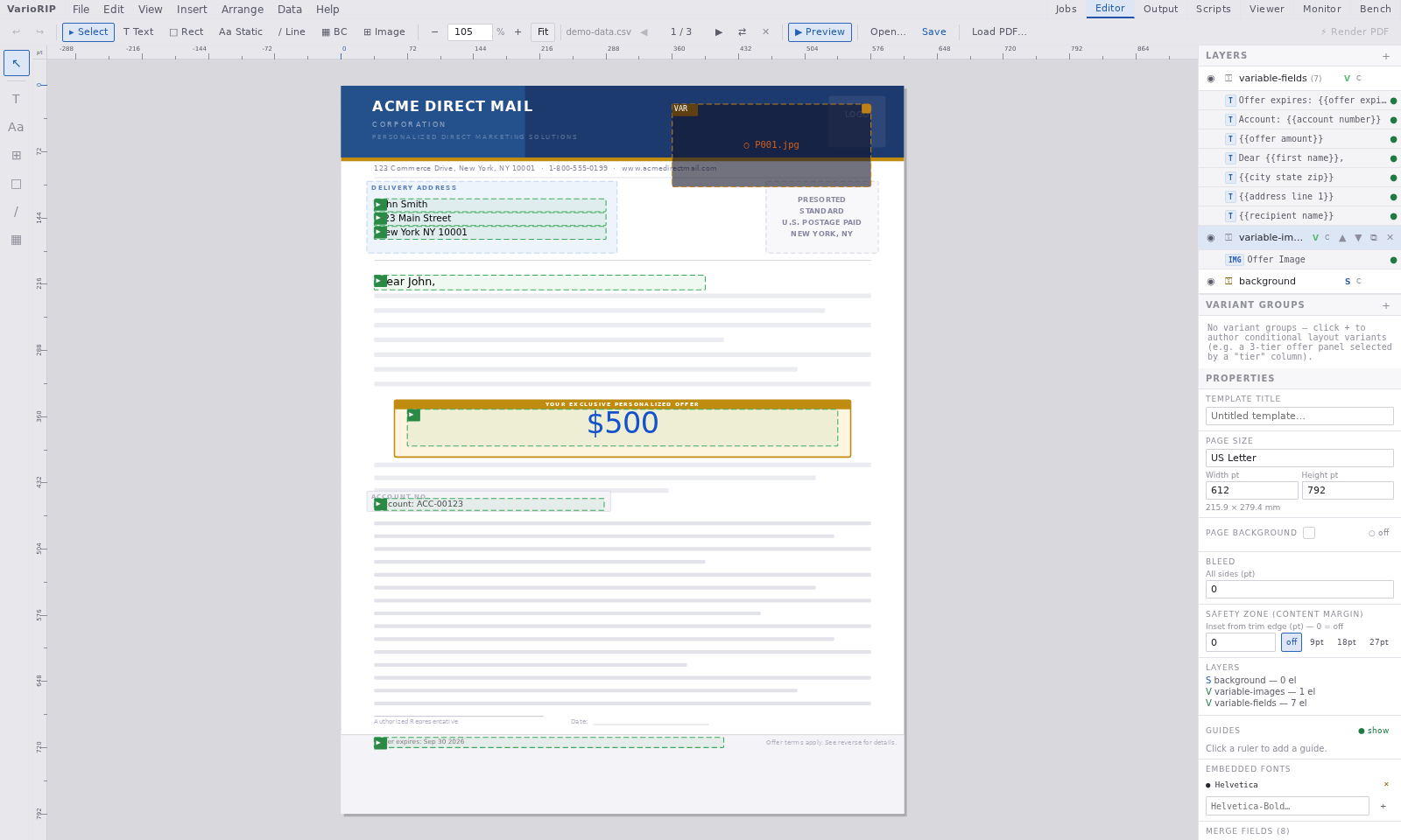 VarioRIP editor shown in the Light theme